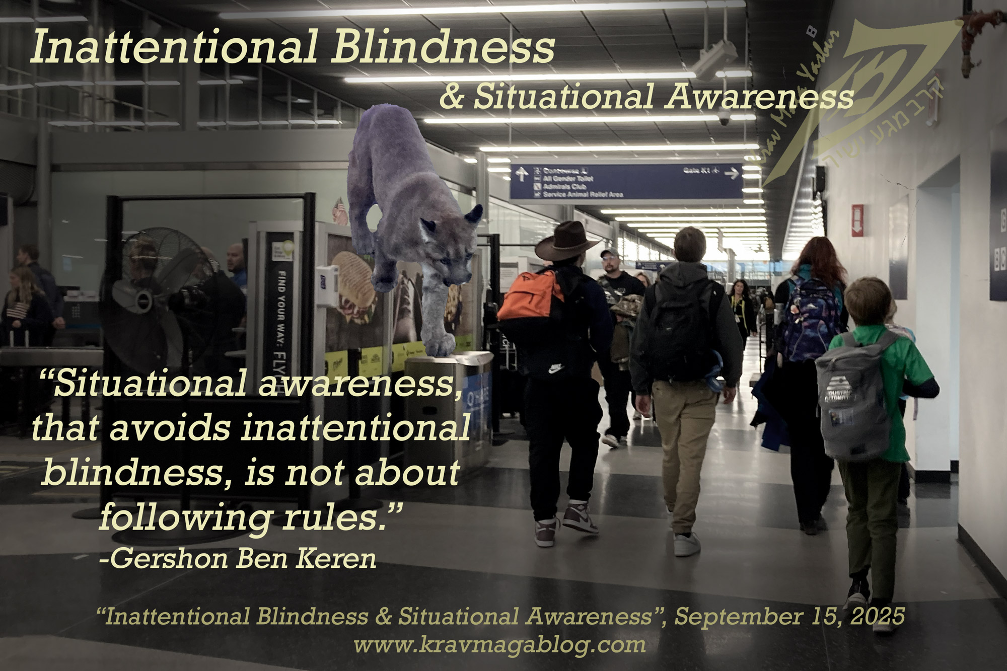Inattentional Blindness & Situational Awareness