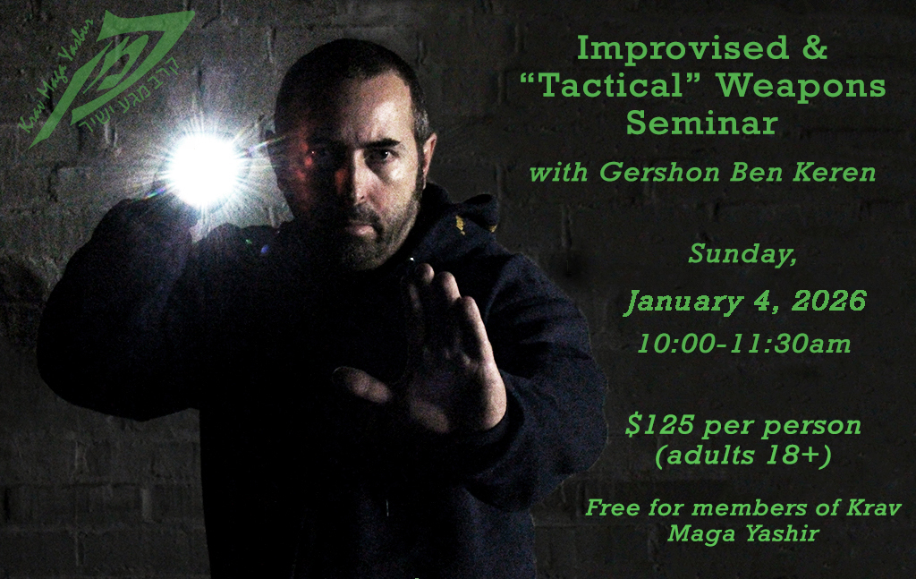 Krav Maga Boston Seminars - Street Crime Seminar